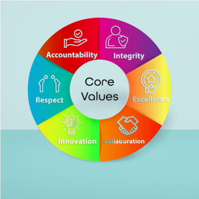 AfraMedico Core Values